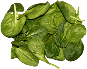 Spinach Leaves