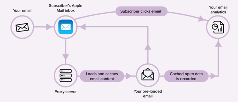Process Flow Chart